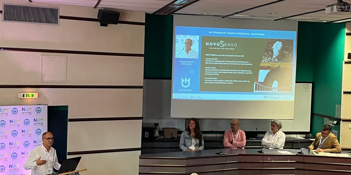 Christophe fin presenting